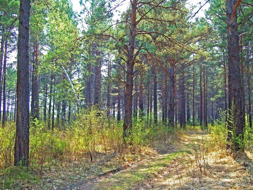 Фотография автора Мигун Александра