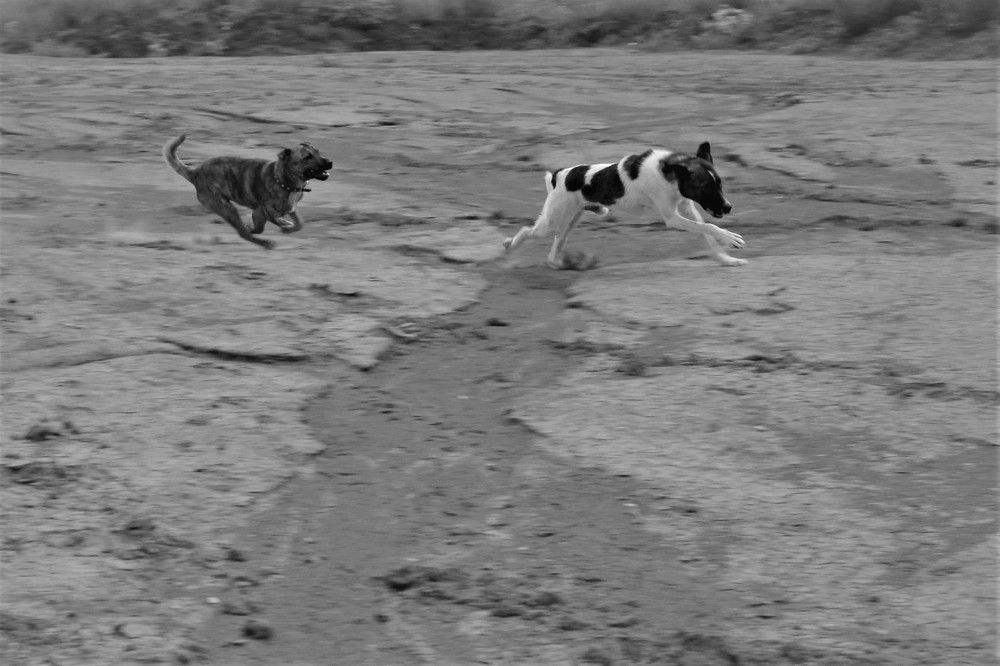 Photograph by Татьяна Долгушева