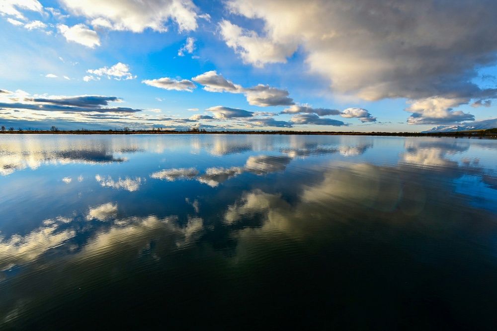 Фотография автора Марина Корреа Ластра