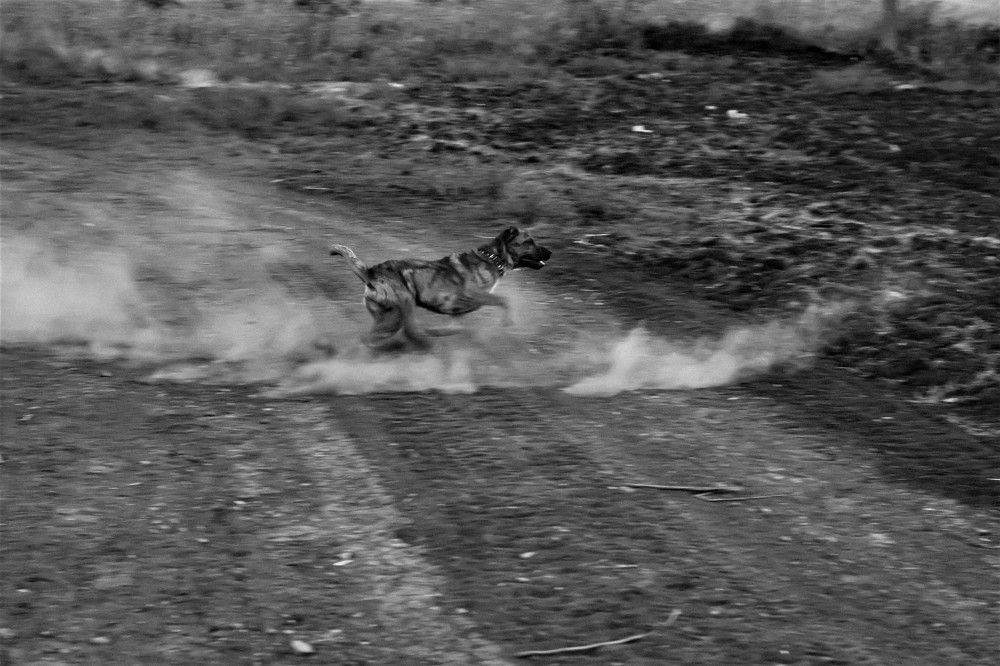 Photograph by Татьяна Долгушева