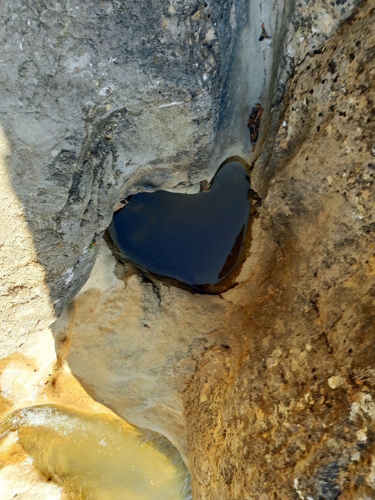 Photograph by Татьяна Долгушева