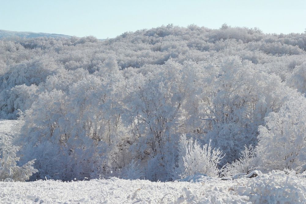 Photograph by Дарья Расшивина