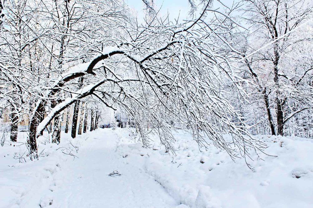 Photograph by миша