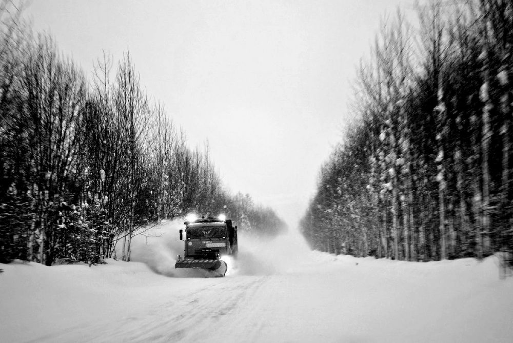Фотография автора Мария
