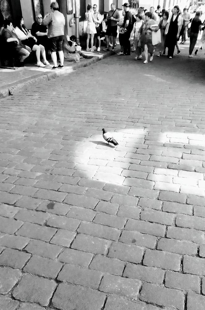 Фотография автора Irina Mihailovskaya