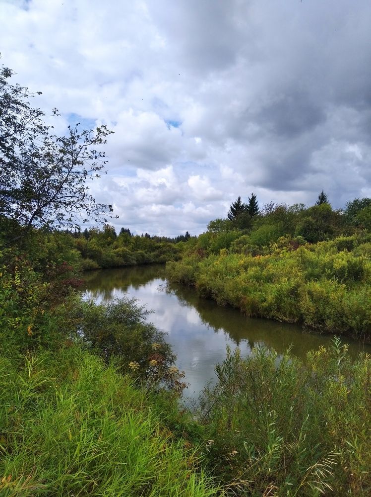 Фотография автора Анастасия