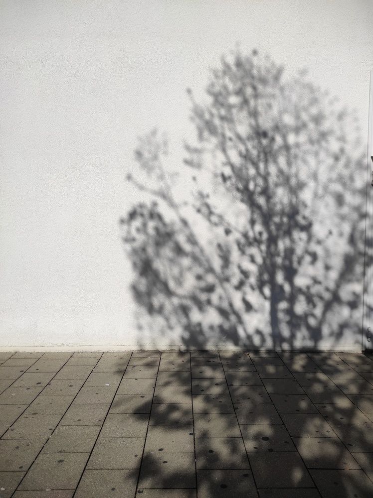 Фотография автора Лейла Матар