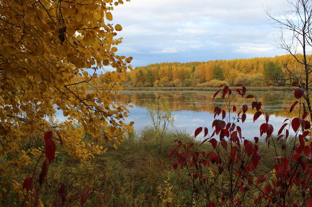 Photograph by Мазур Максим