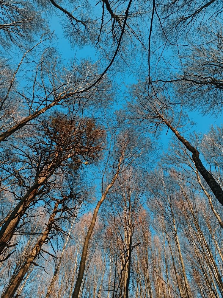 Photograph by Татьяна Долгушева