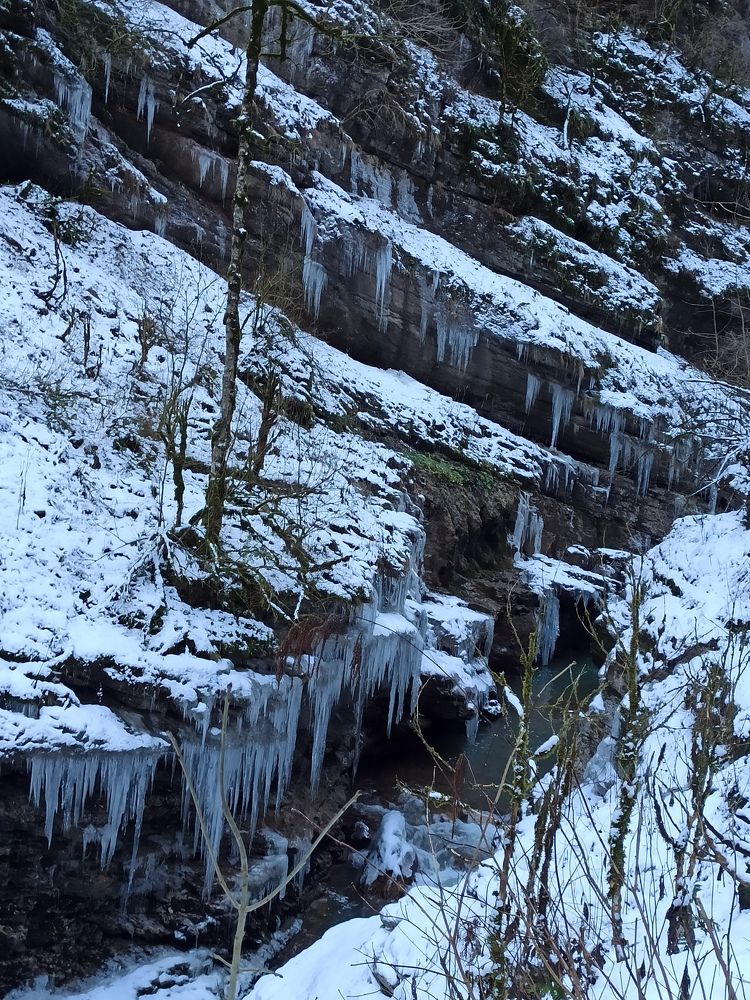 Photograph by Татьяна Долгушева