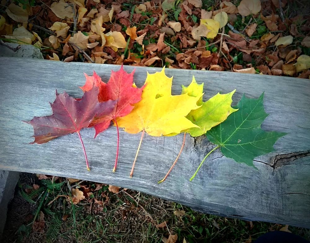 Photograph by Михаил Плотников