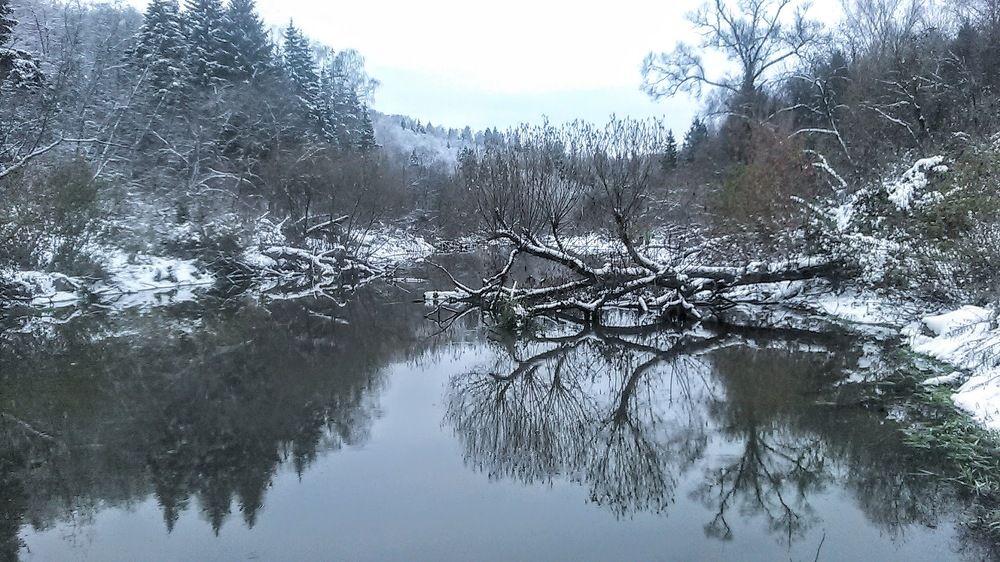 Photograph by Михаил Плотников