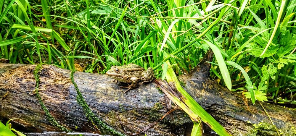 Photograph by Михаил Плотников