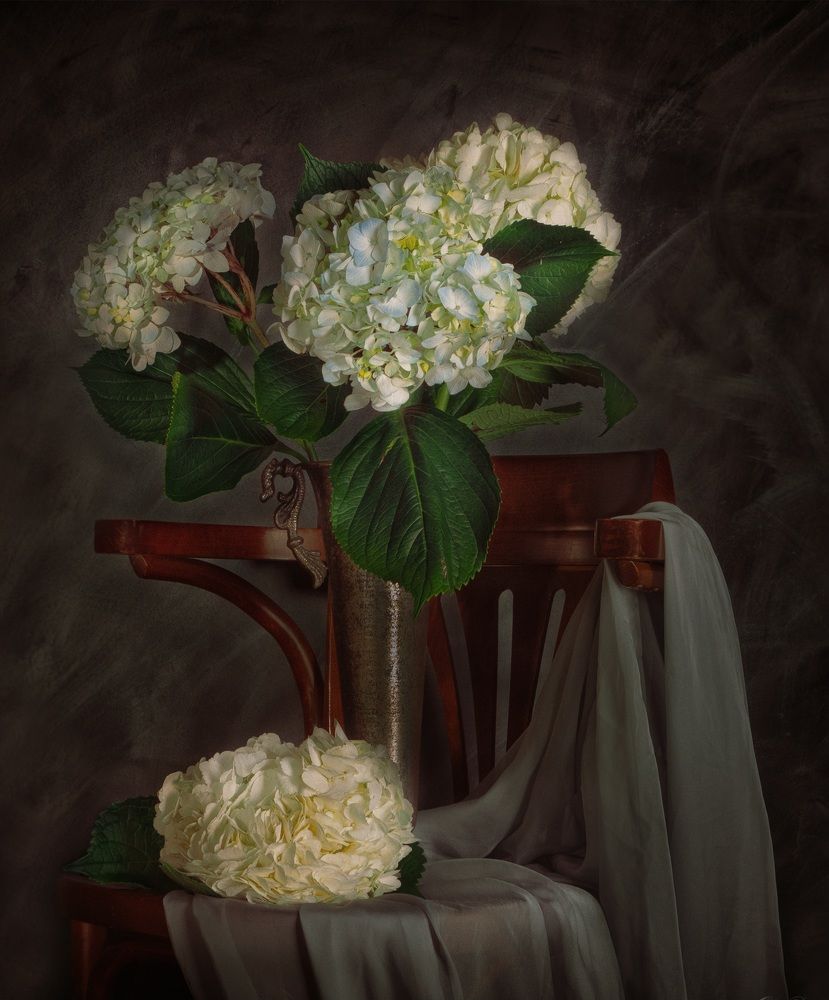 Фотография автора Ольга Попова