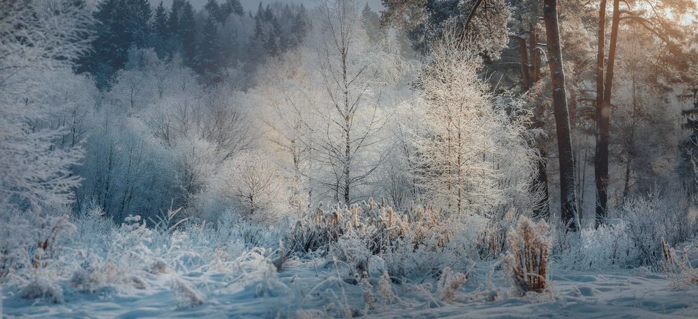 Photograph by Julia Shepeleva