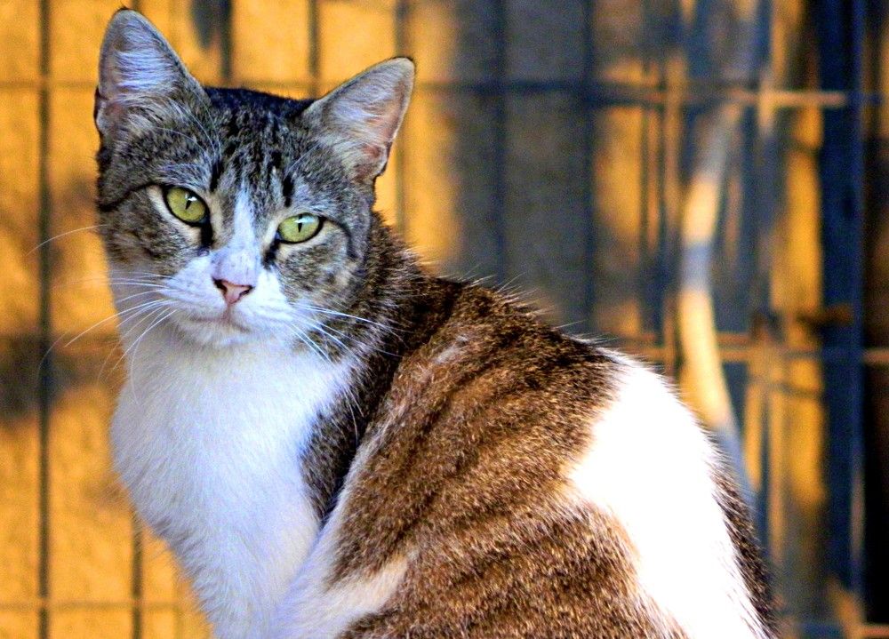 Фотография автора Сергей Рапопорт