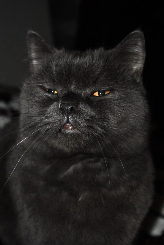 Фотография автора Мария