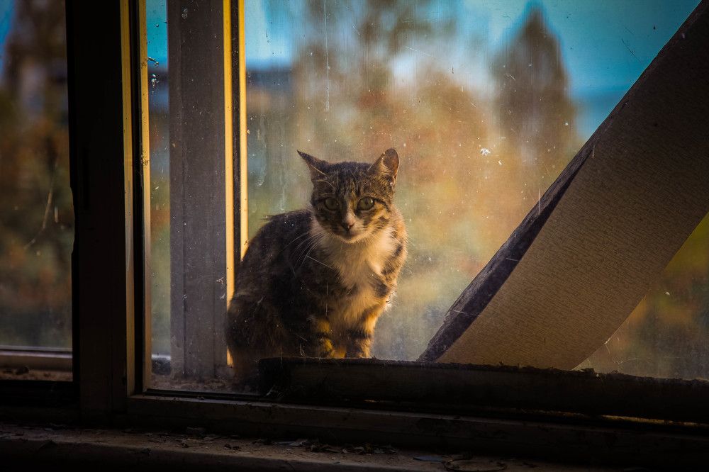 Photograph by Кирилл Коваленко