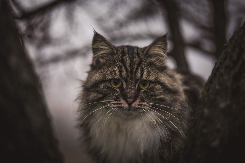 Photograph by Кирилл Коваленко