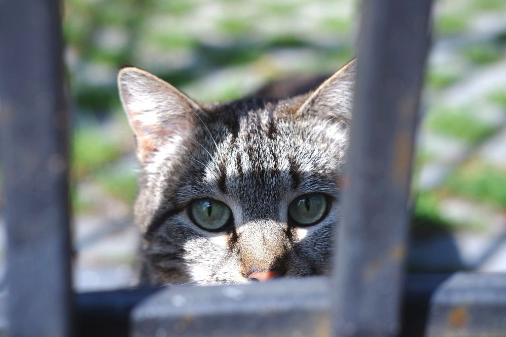 Photograph by Янина Найденцева