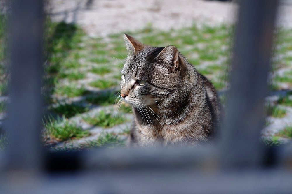 Photograph by Янина Найденцева