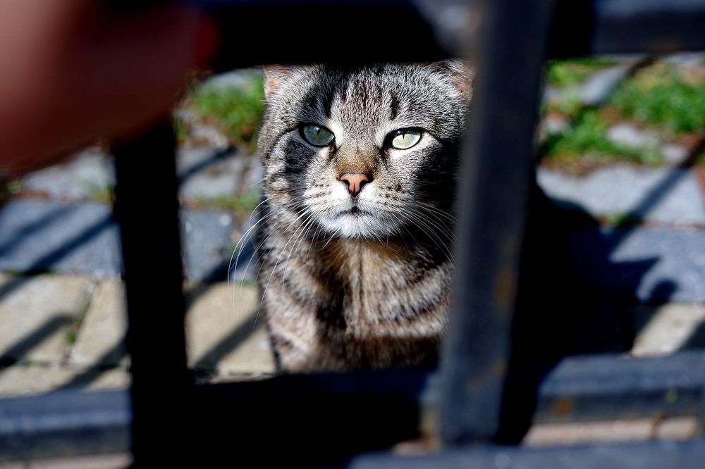 Photograph by Янина Найденцева