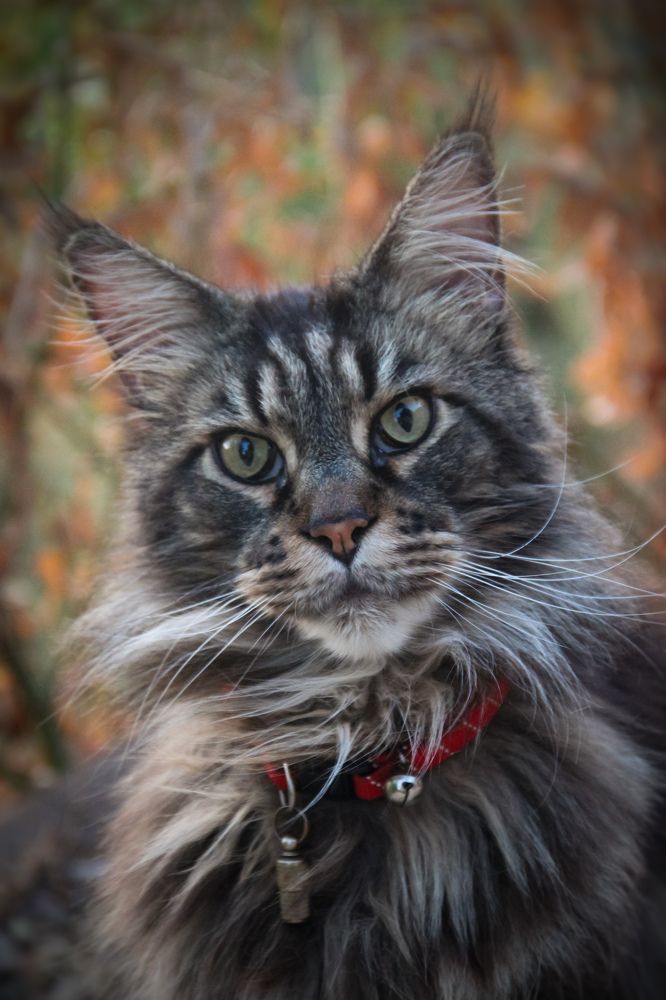 Photograph by Ирина Троицкая