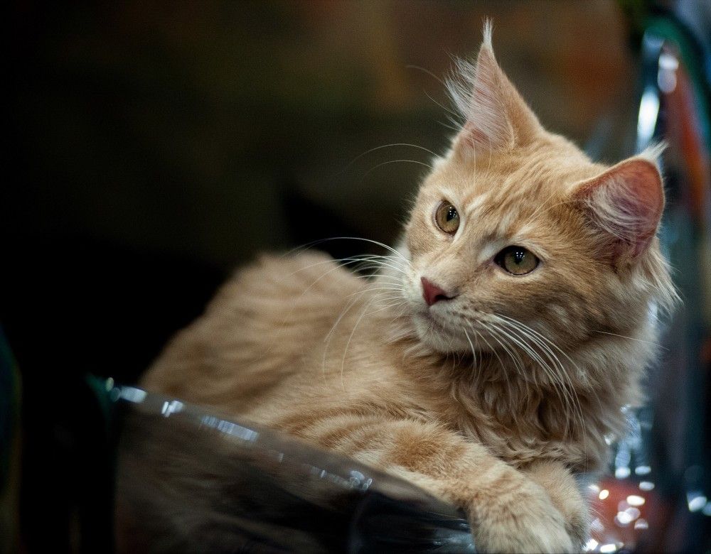 Photograph by Татьяна