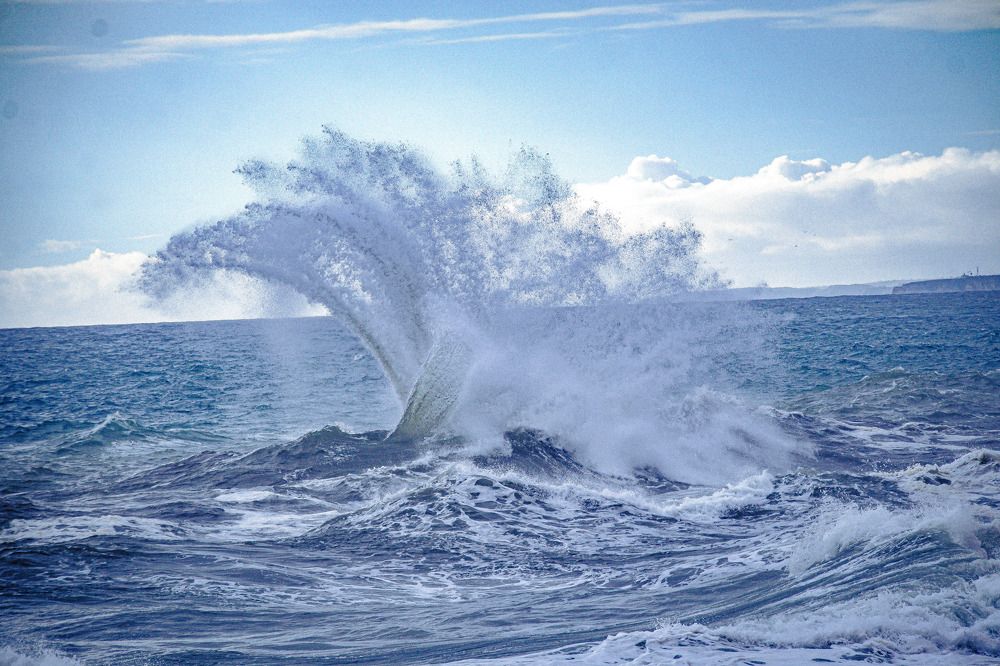 Photograph by Delfina Paulo