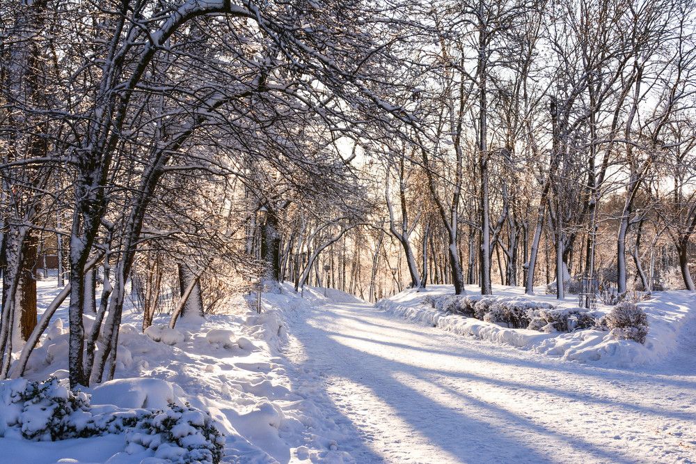 Photograph by Юлия Кузнецова