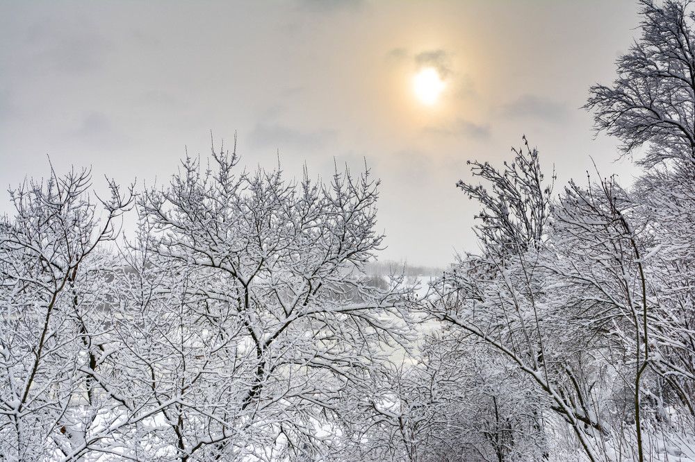 Photograph by Юлия Кузнецова