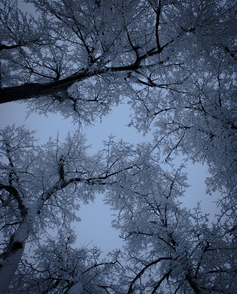 Photograph by Татьяна Хуссейн