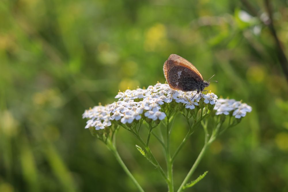 Фотография автора Екатерина