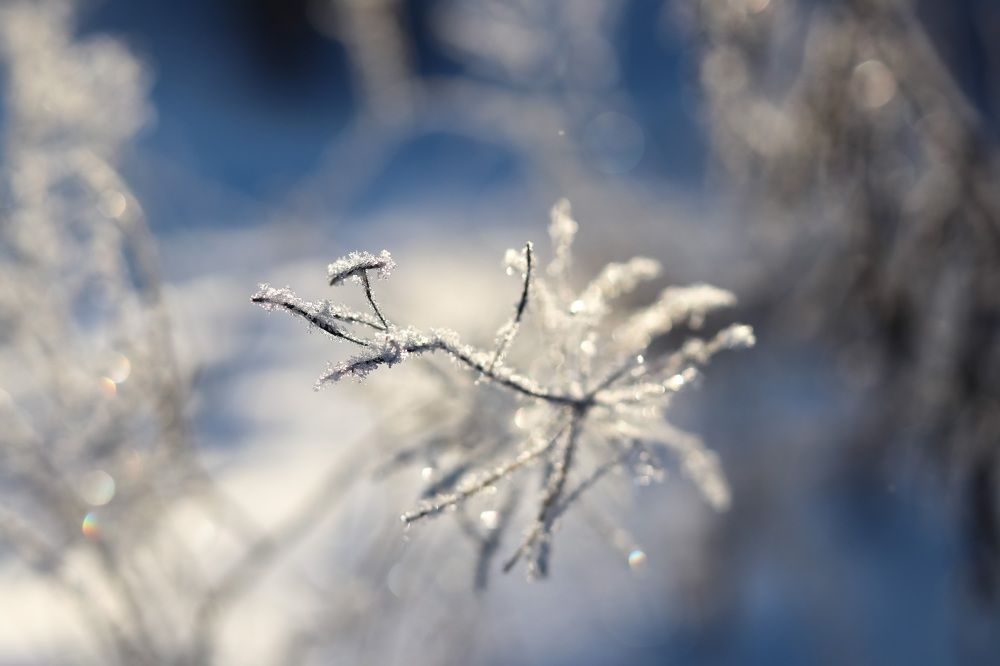 Фотография автора Екатерина