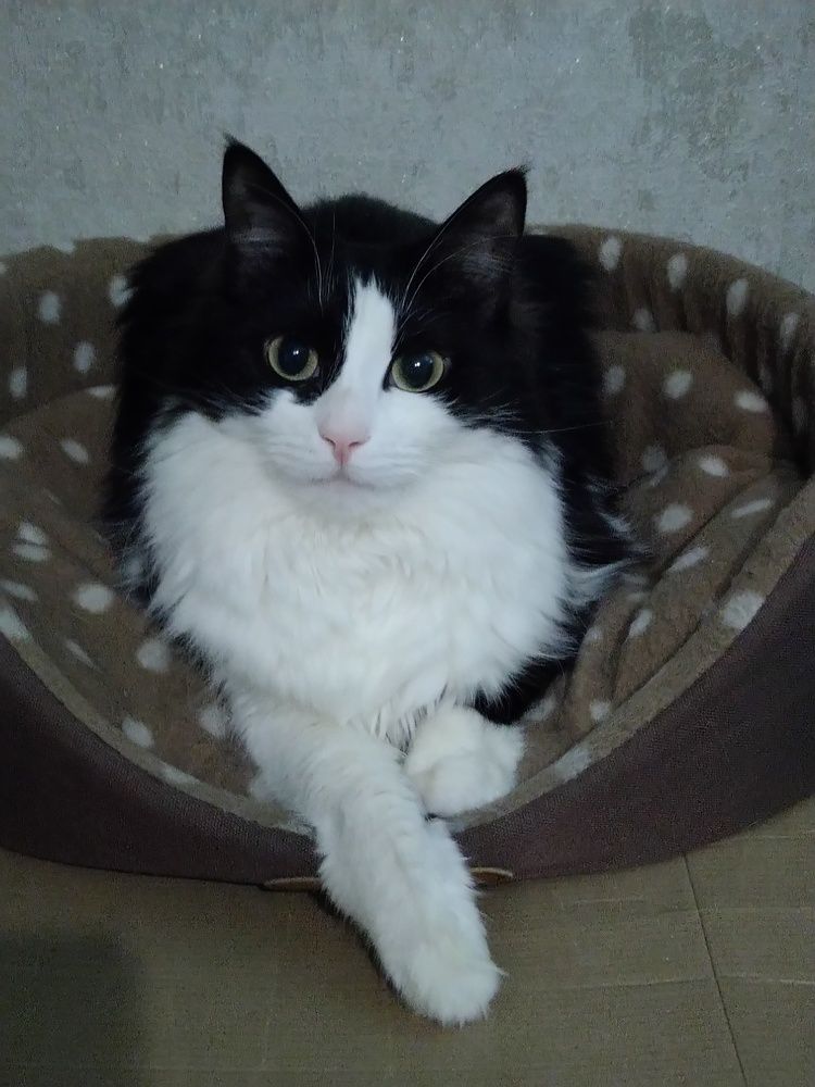 Photograph by Евгений Горбунов