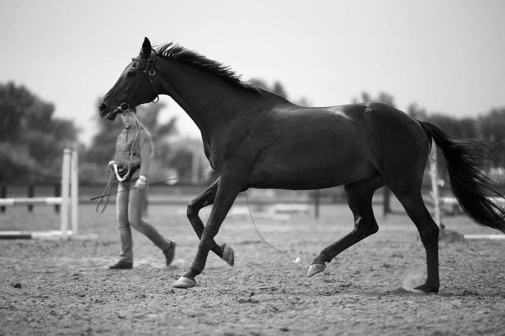 Photograph by Иван Зиновьев