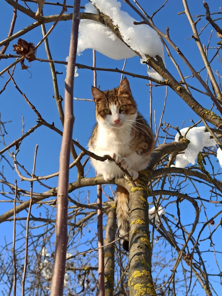 Photograph by Татьяна Долгушева