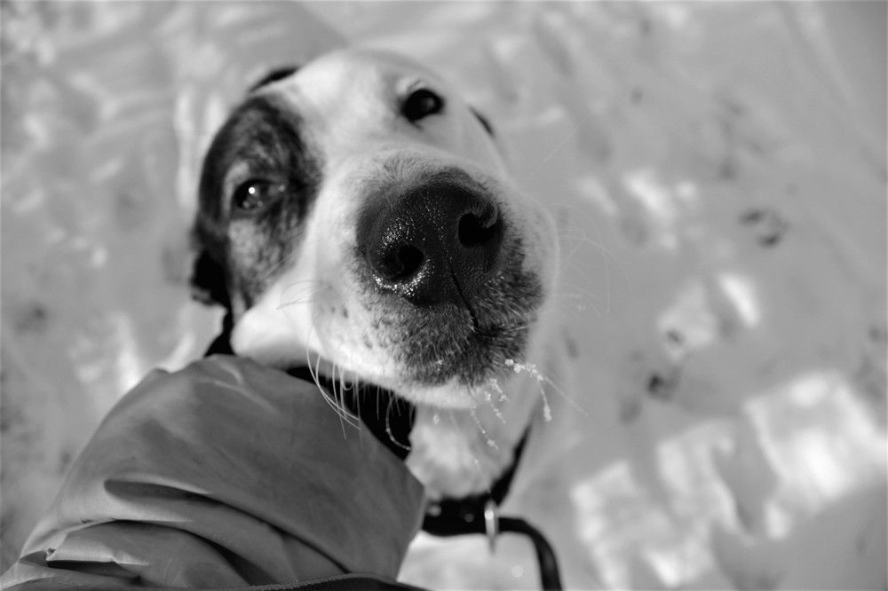 Photograph by Татьяна Долгушева