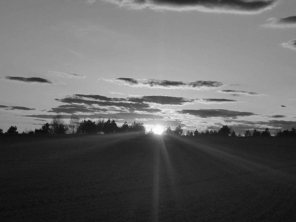 Фотография автора Рутковская Жанна