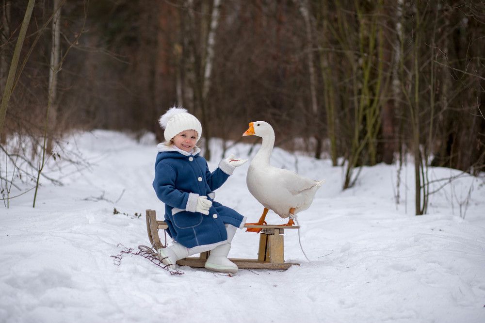 Photograph by Maria Arhipenko