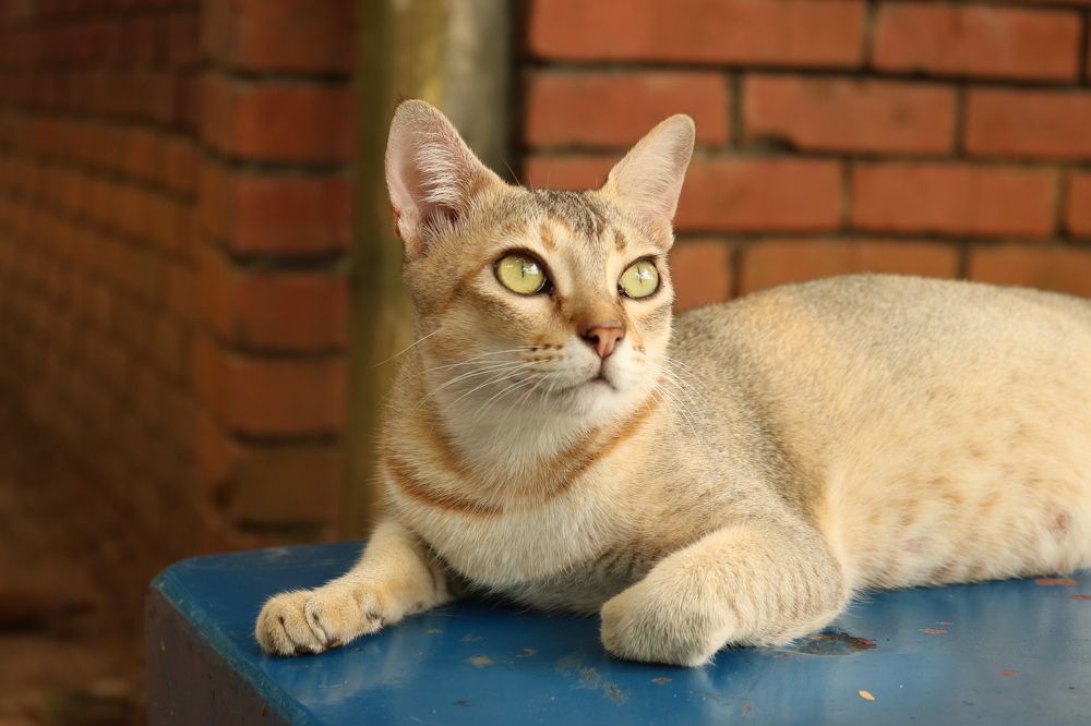 Photograph by Jishan Ahmed