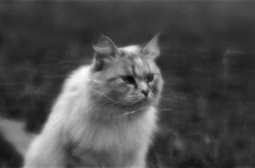 Photograph by Иван Домарацкий