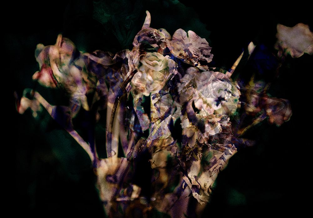 Фотография автора Виталий Крестинин