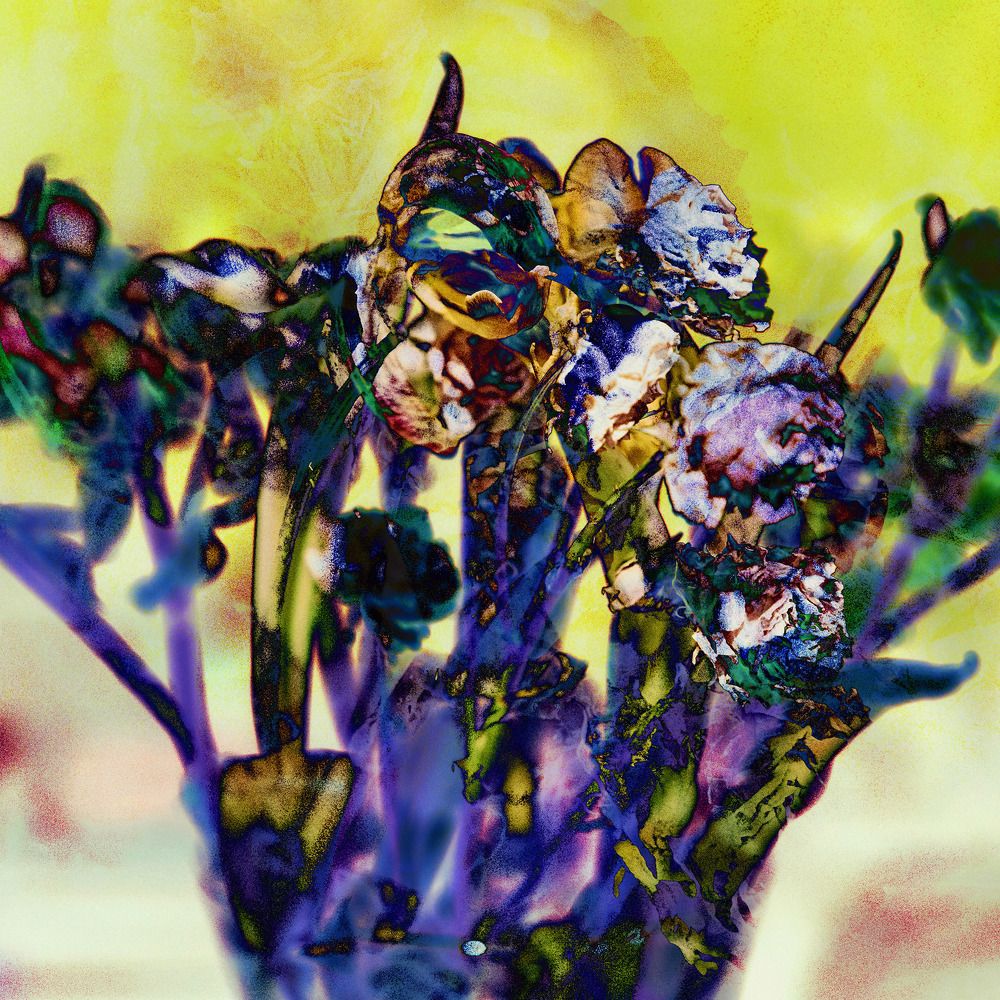 Фотография автора Виталий Крестинин