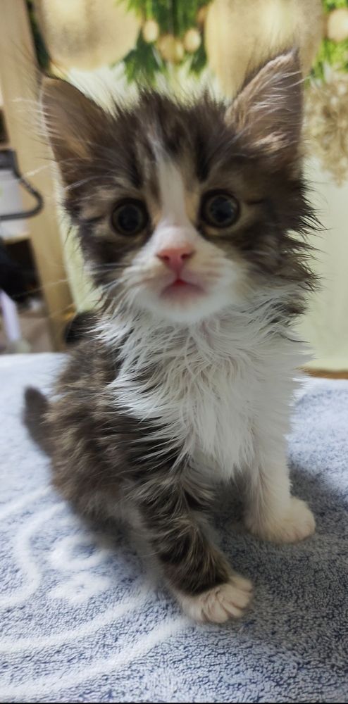 Фотография автора Евгения