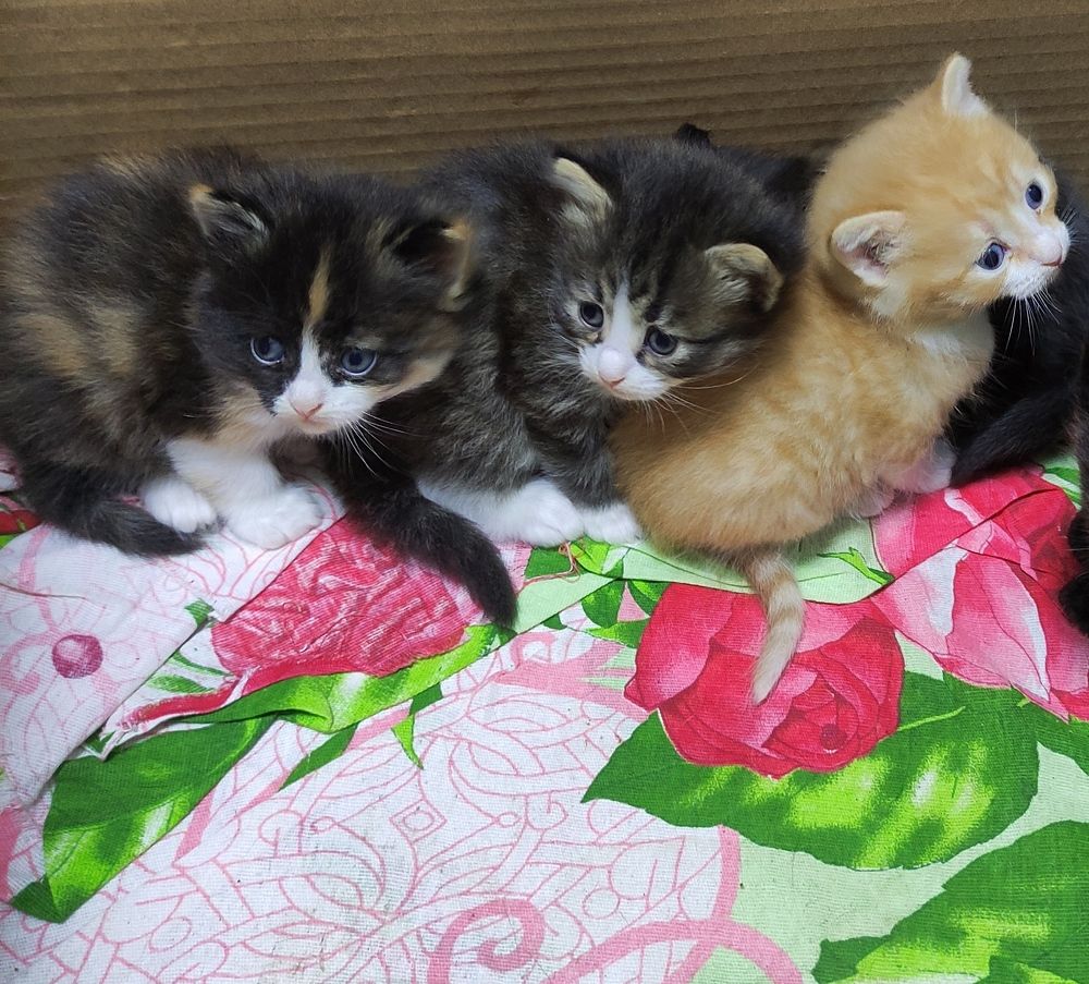 Фотография автора Евгения