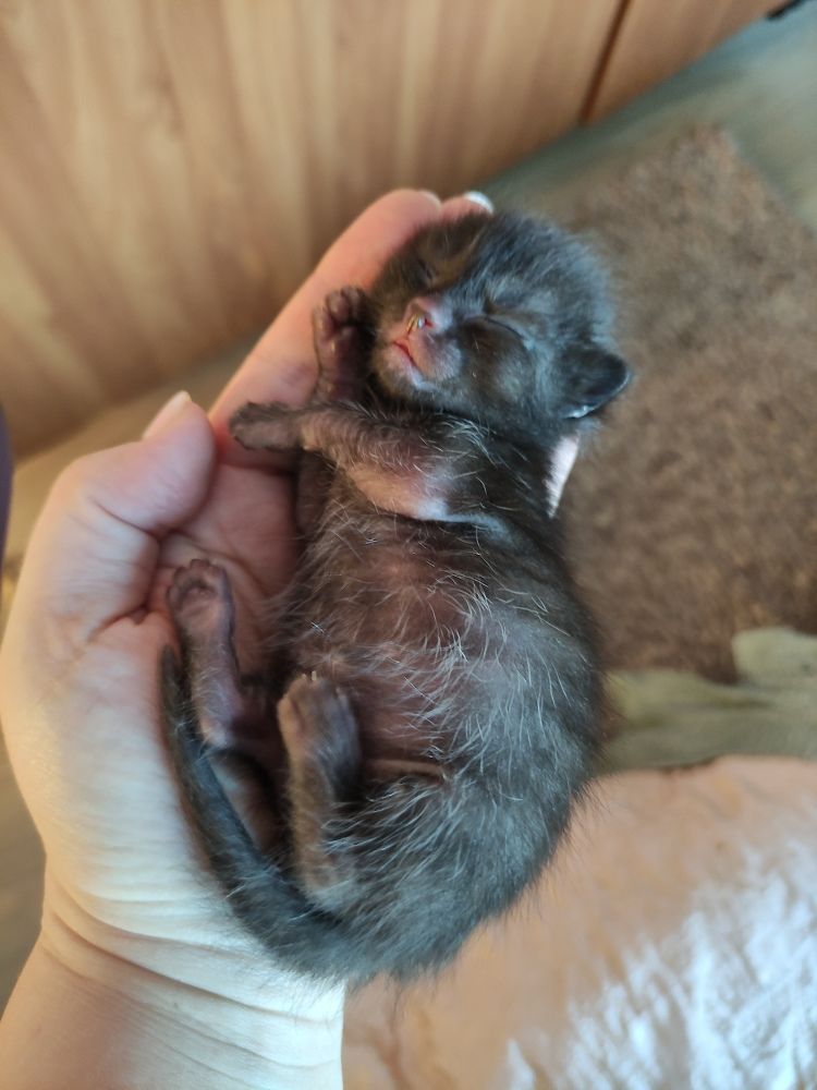 Фотография автора Евгения