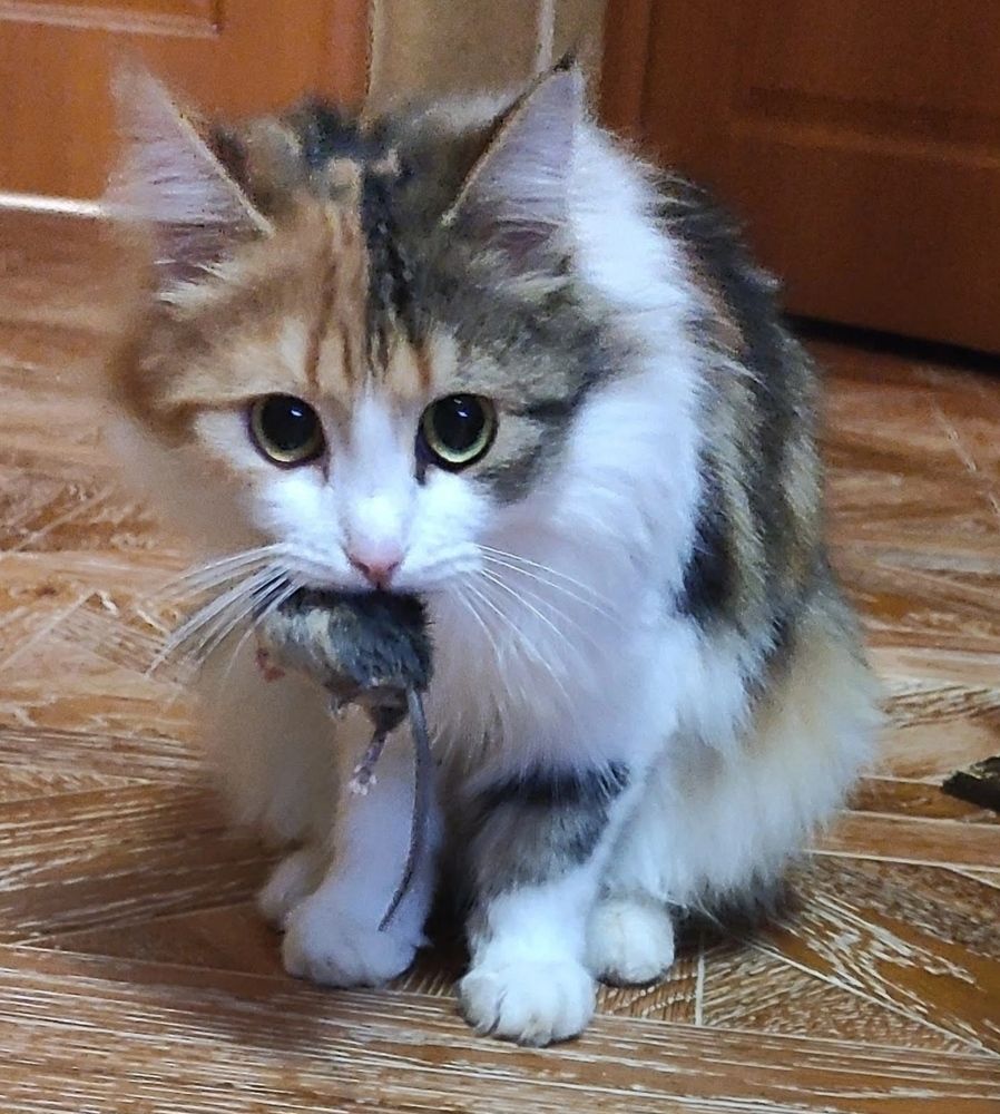 Фотография автора Евгения