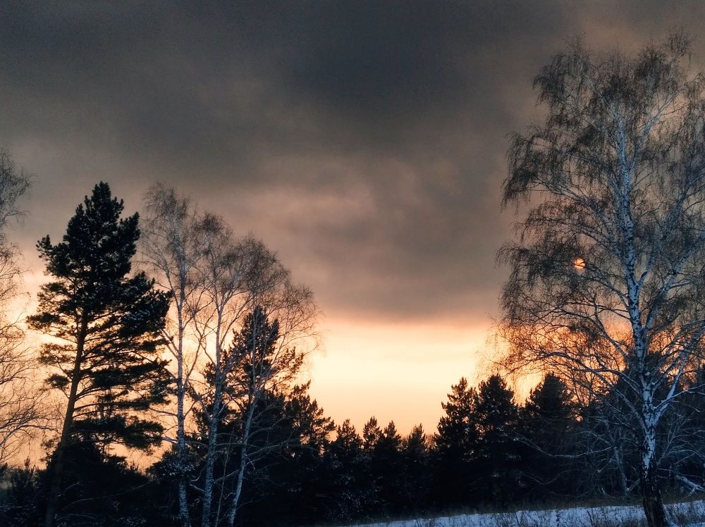 Фотография автора Анастасия