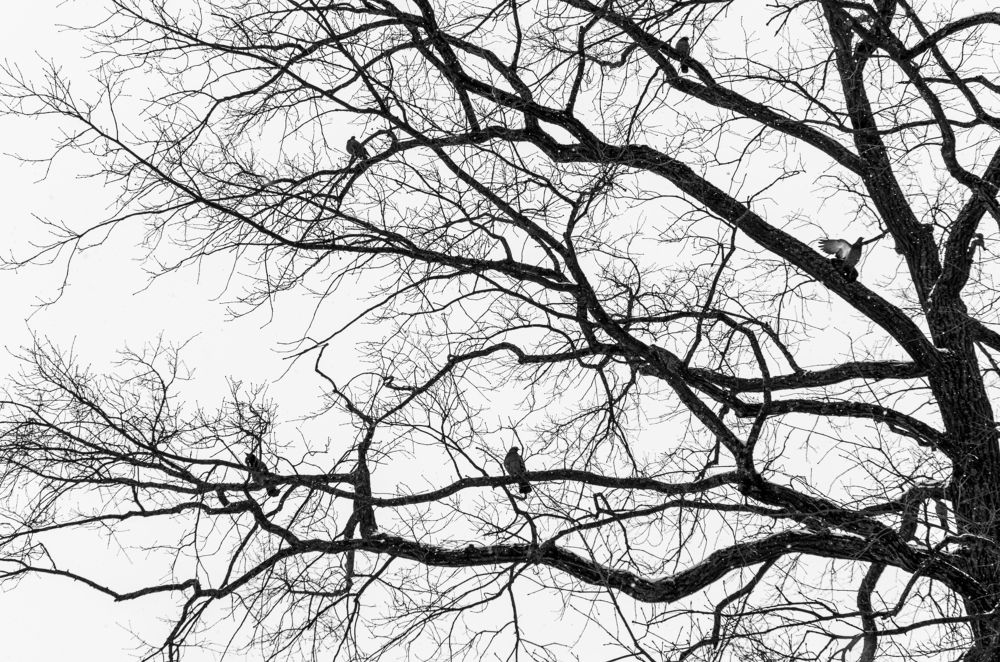 Фотография автора Yulia